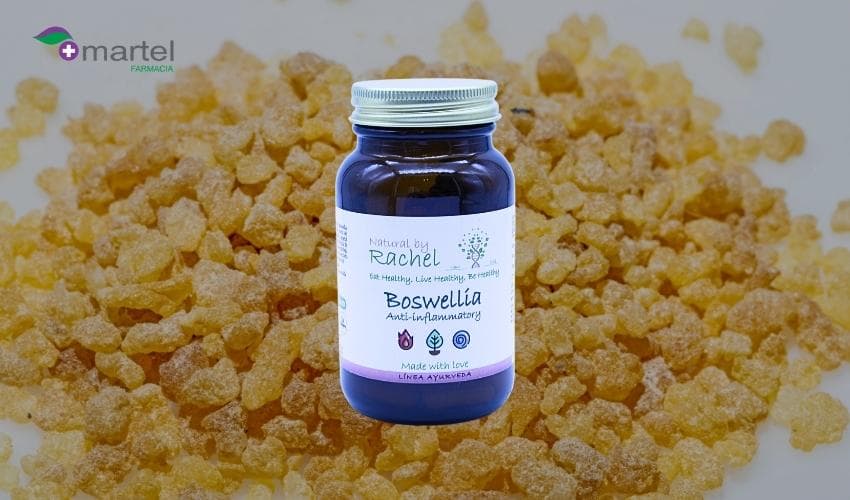 Para qué sirve la Boswellia