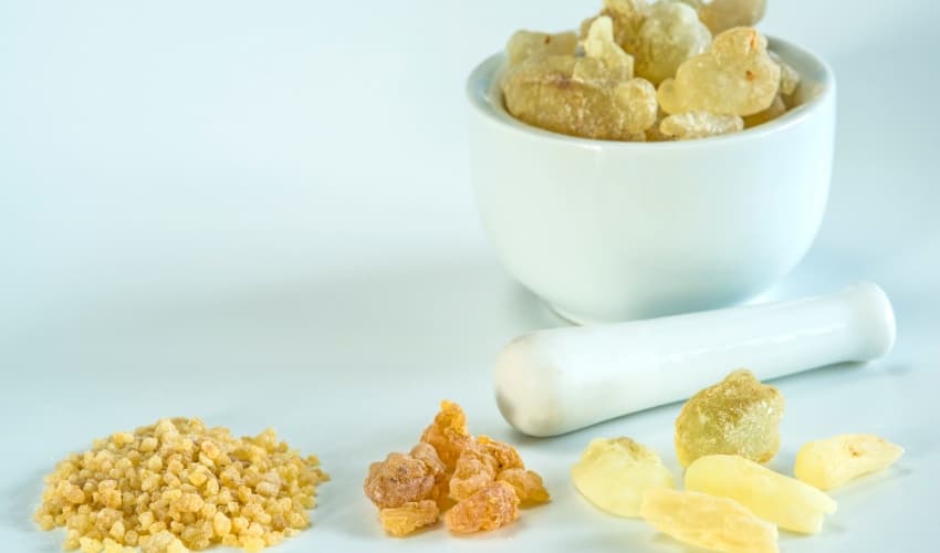 Beneficios de la Boswellia