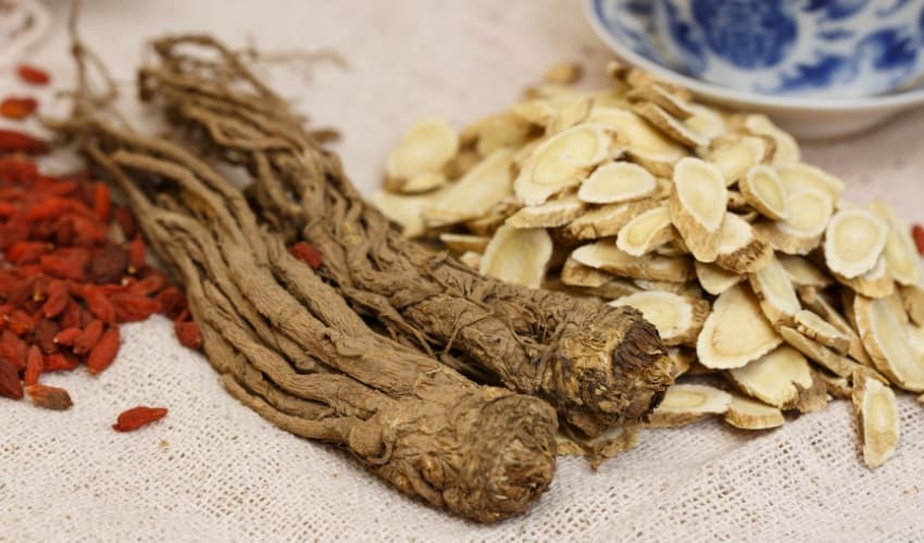 Plantas medicinales para invierno - astralagus