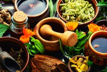 Plantas medicinales para invierno