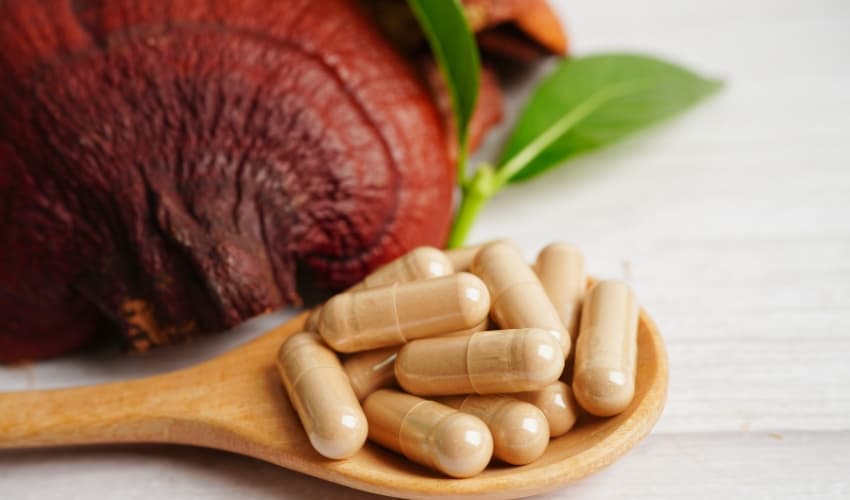 Plantas medicinales para invierno