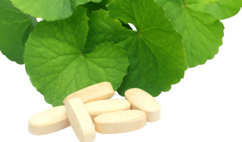 Para qué sirve Brahmi