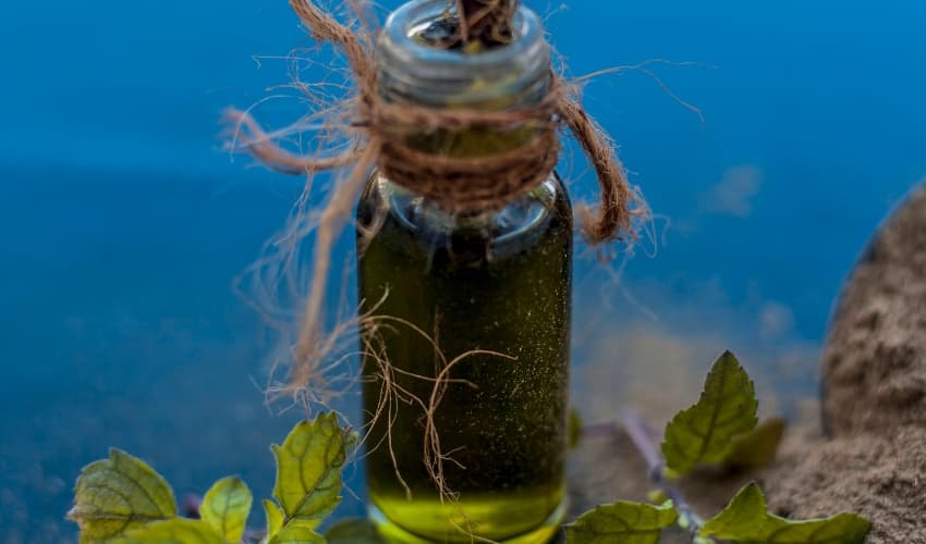 Beneficios de Brahmi