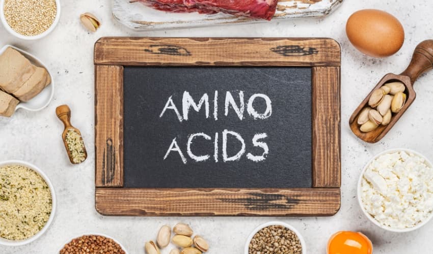 Qué son los aminoácidos esenciales