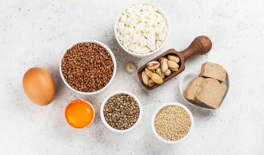 Por qué son importantes los aminoácidos esenciales