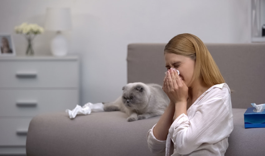Antihistamínicos naturales para suavizar la alergia
